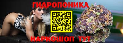 ешки Будённовск
