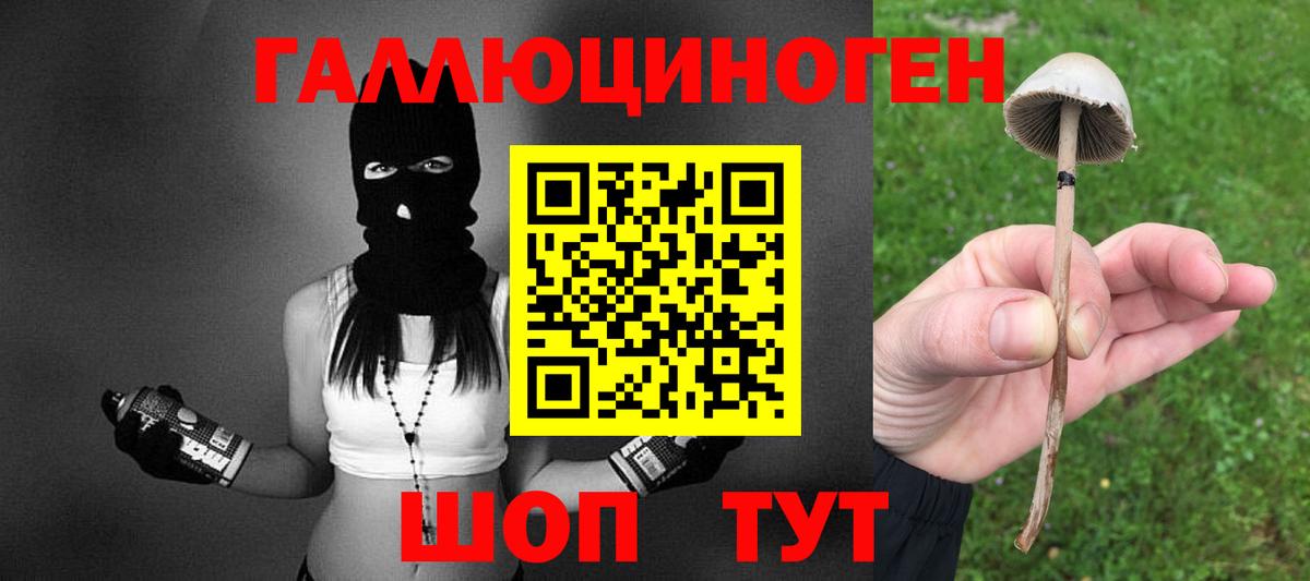 Галлюциногенные грибы прущие грибы  Вход с VPN  Рассказово  Галлюциногенные грибы Psilocybe 